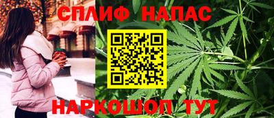 стафф Краснознаменск