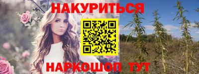 стафф Краснознаменск