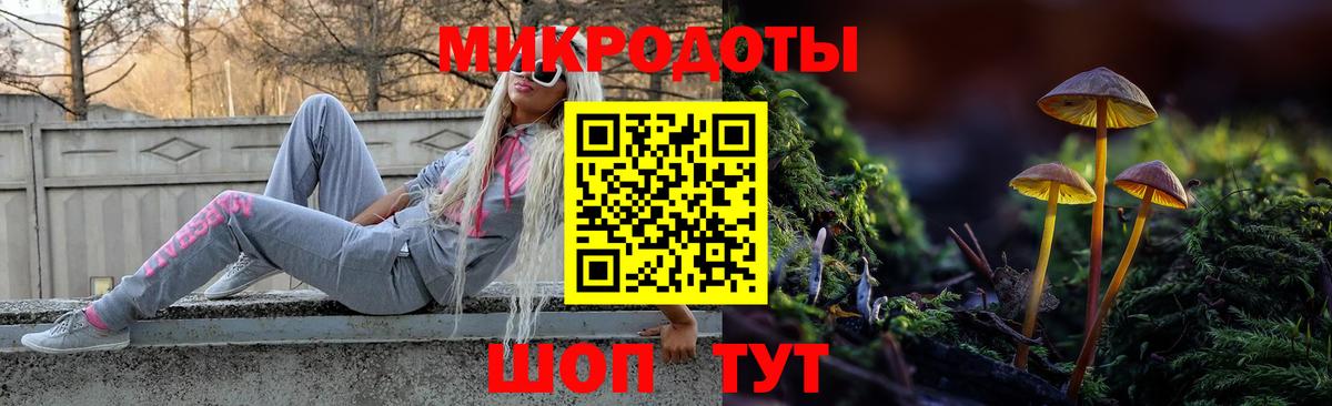 Псилоцибиновые грибы мицелий Аксай