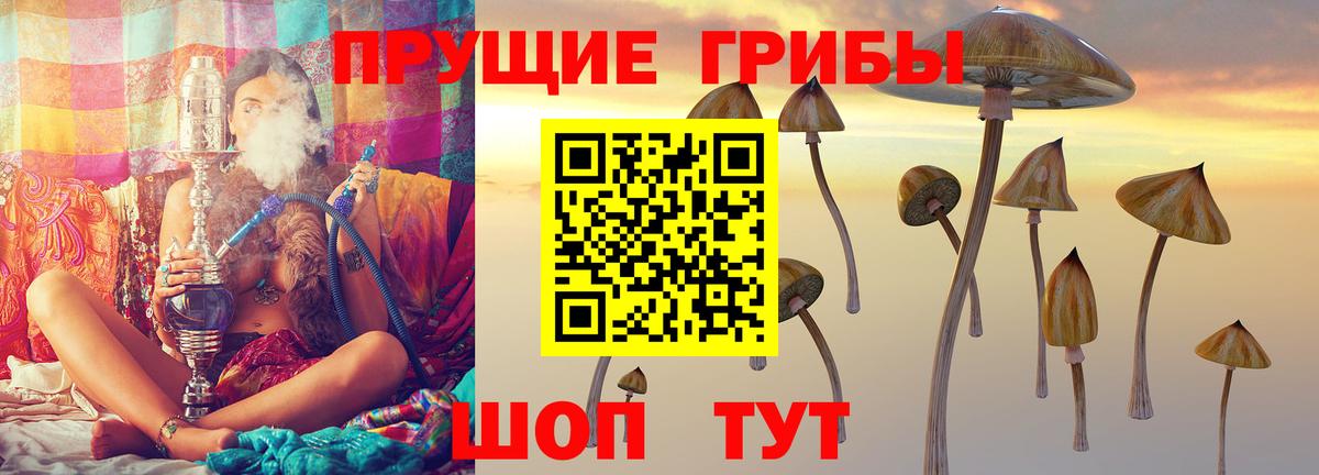 Аксай  Галлюциногенные грибы Cubensis  Вход с VPN 