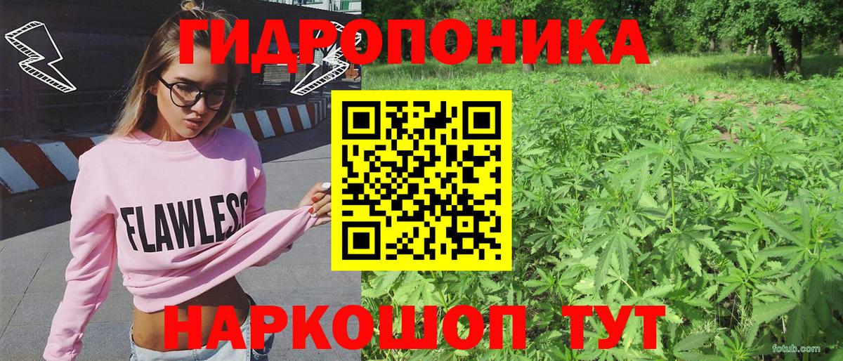 МАРИХУАНА планчик  Каннабис SATIVA & INDICA  Аксай  Вход с VPN  Бошки Шишки сатива 